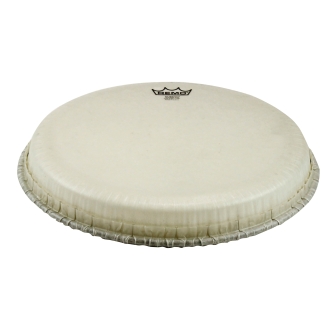 Djembe Drumhead, Tucked, 13“, Nuskyn