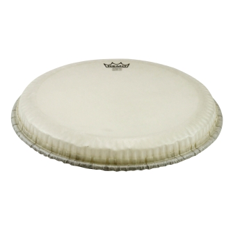 Djembe Drumhead, Tucked, 14“, Nuskyn
