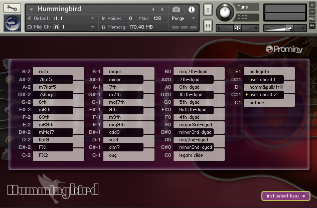Hummingbird Acoustic Guitar - Image 7