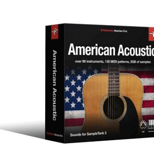 ST3 American Acoutc Download