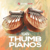 Tiny Thumb Pianos - Image 2