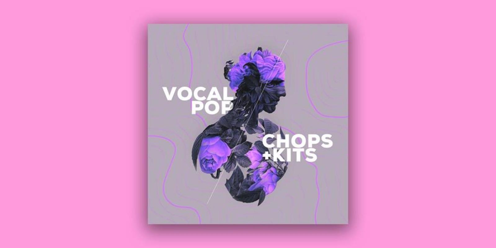 Vocal Pop - Expansion For Loopmix - Image 2