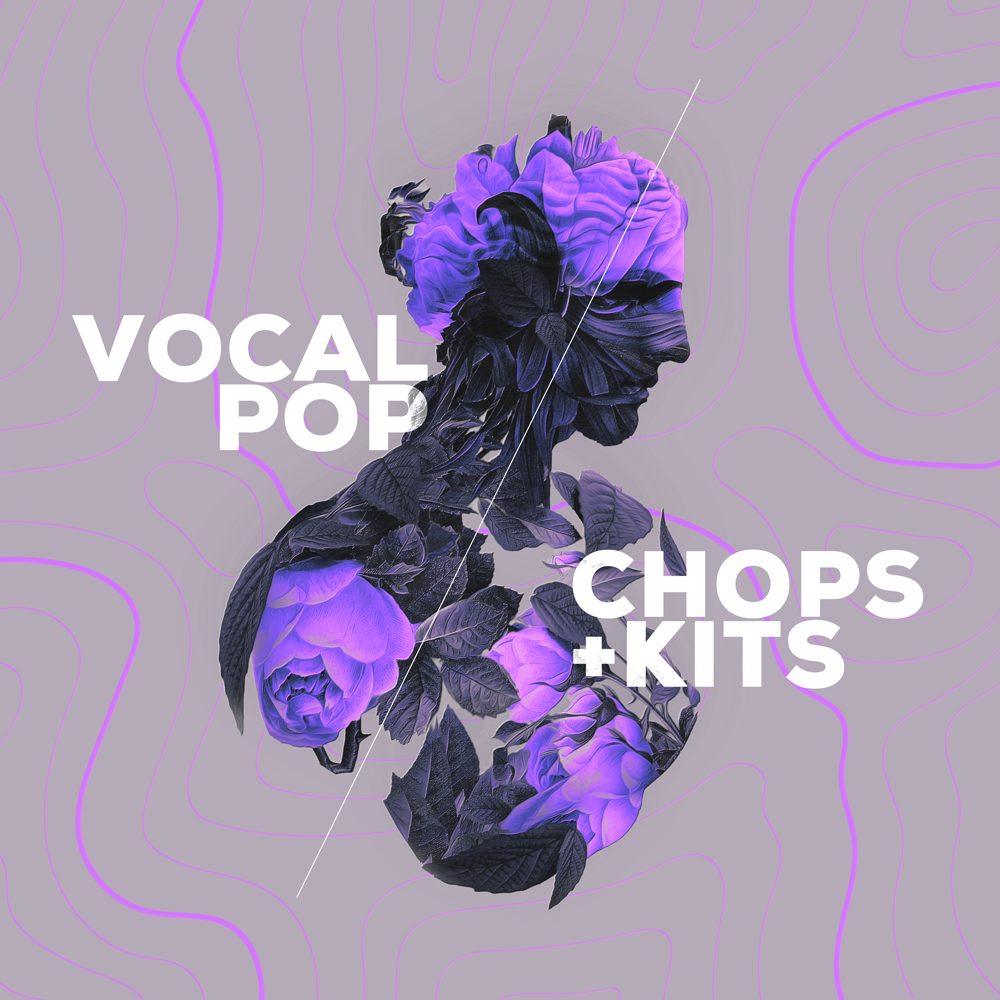 Vocal Pop - Expansion For Loopmix - Image 3