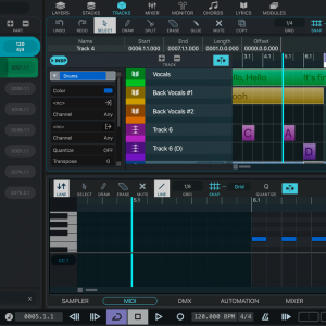VST Live 3 Competitive CG