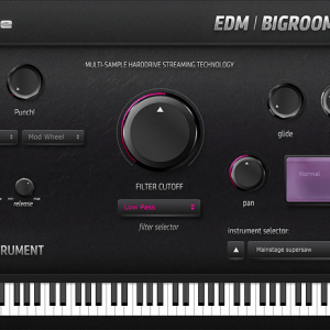 EDM-BIGROOM Ammunition