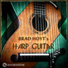 Brad Hoyt's Harp Guitar - Image 2
