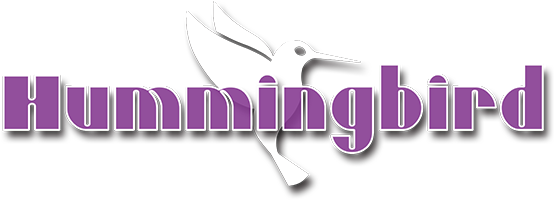 Hummingbird Acoustic Guitar - Image 3