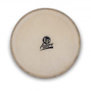 Latper Aspire Bongo Head
