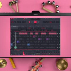 Loopmix