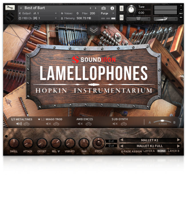 Hopkin Instrumentarium : Lamellophones - Image 3