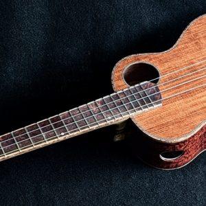Woodrw Ukulele SAN Diego Char