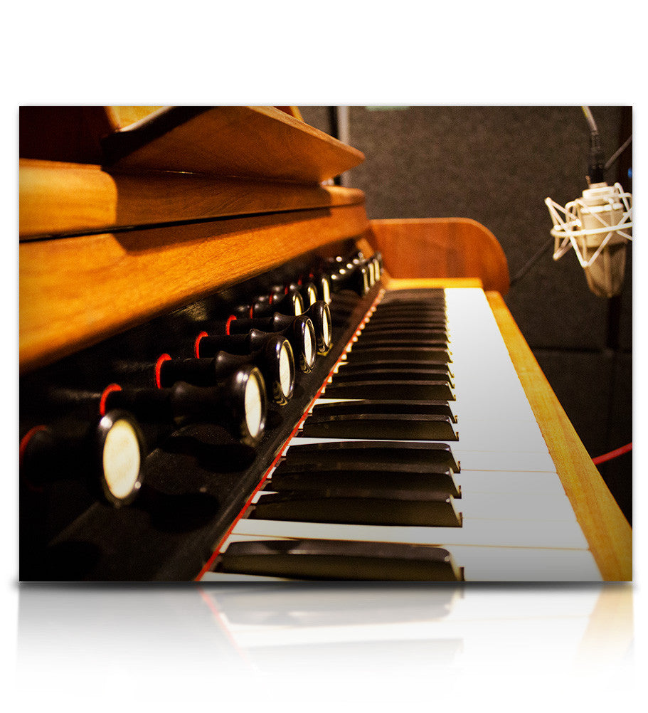 Traveler Organ - Image 3