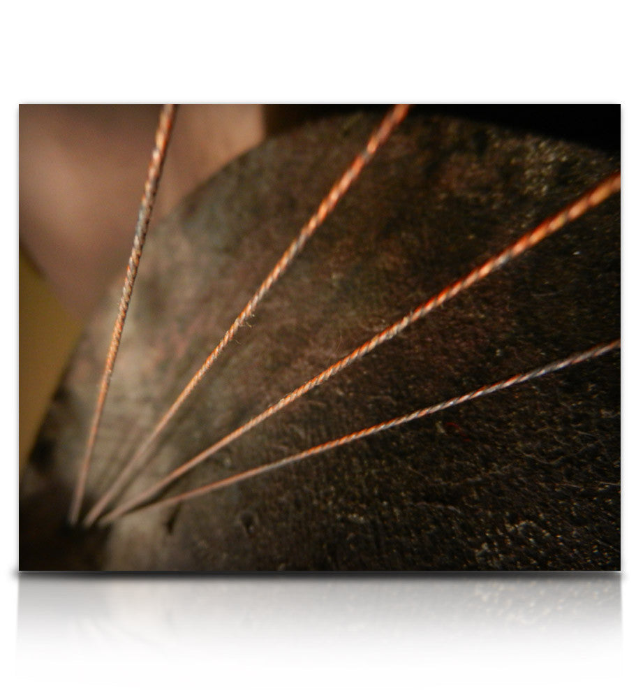 Twine Bass - Image 6