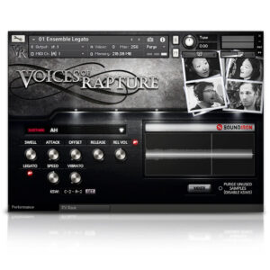 Voices Of Rapture