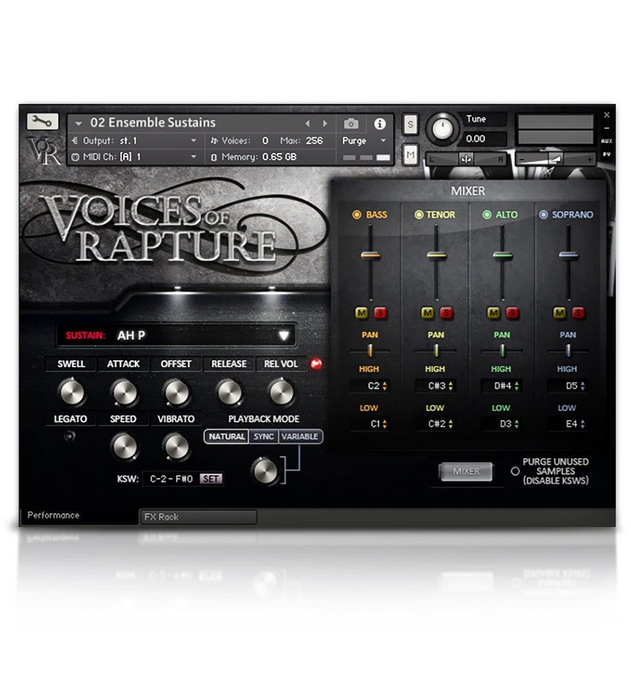 Voices Of Rapture - Image 4