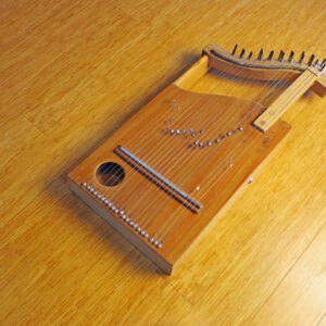 Hopkin Instrumentarium: Weighted Strings