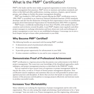 Audpro Prof Serv Proj Manage