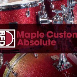BFD MAPLE CUSTOM ABSOLUTE