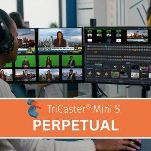 CASTER Perpetual