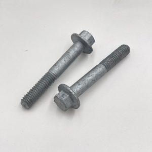 Gibrlt WING/SHORT Bolt SET 6M