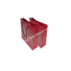 Handle BAG With Rigid Bstk