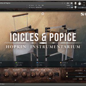 Hopkin Instrumentarium: Chordophones