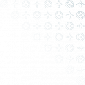 Iqplus 6" Triangle