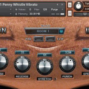Iron Pack 11 - Irish Penny Whistle