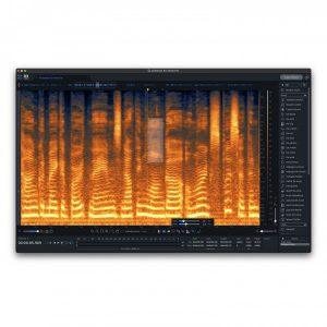 RX 9 Standard Download