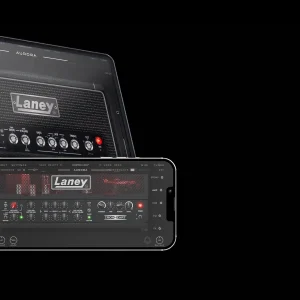 Laney Bundle