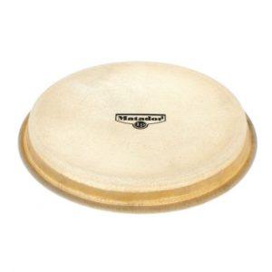 Latper Large Mounted Bongo