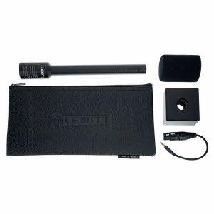 Lewitt Interviewer DYN MIC