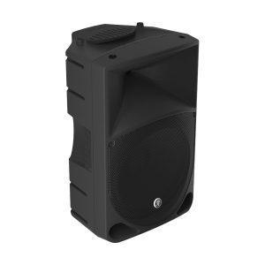 Mackie THUMP15" BAG