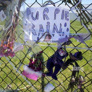 Studio Prince Purple Poster