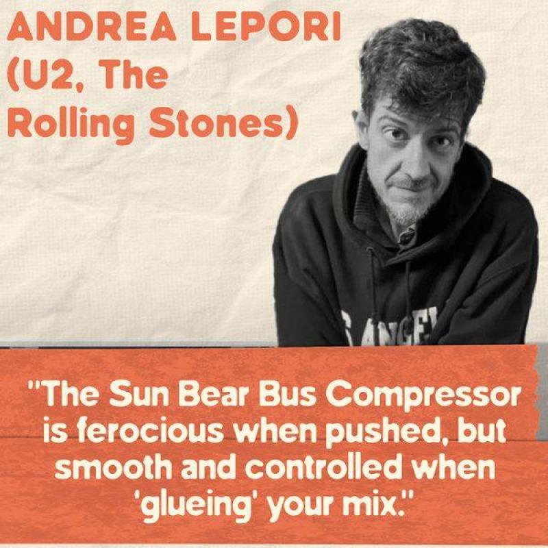 Sun Bear Bus Compressor - Image 3