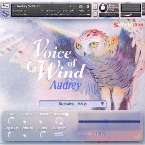 Voice Of Wind: Audrey