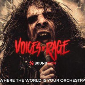 Voices Of Rage