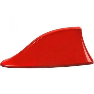 TYC 10 SIG 30TH Anvrsy Requin