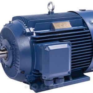 TYC DD Series Student Dundunb