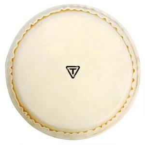 Tycoon 11" Tambora Repl Head