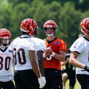 Woodrw Mini GTR Cinc Bengals