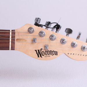 Woodrw Northender Guitar Hous