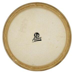 LP Aspire 11“ Rawhide Conga Head