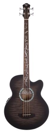 Dragonfly 4 Fretless