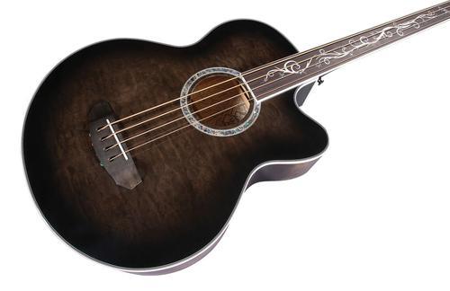 Dragonfly 4 Fretless - Image 4
