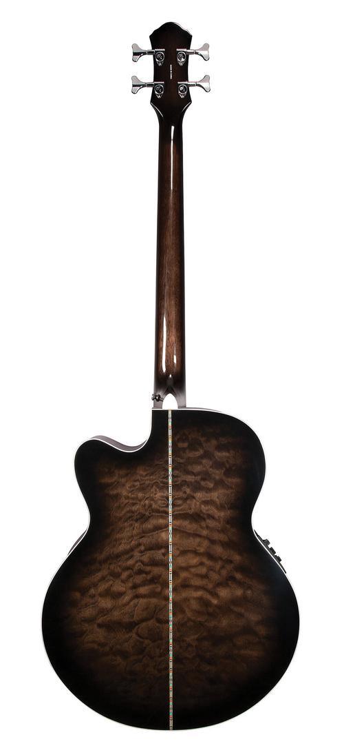 Dragonfly 4 Fretless - Image 6