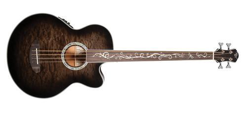 Dragonfly 4 Fretless - Image 7