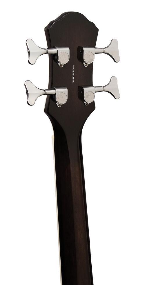 Dragonfly 4 Fretless - Image 10