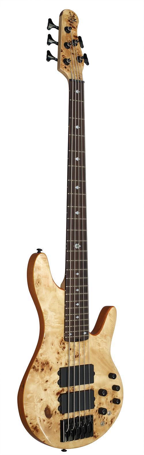 Pinnacle 5-String Bass - Image 2