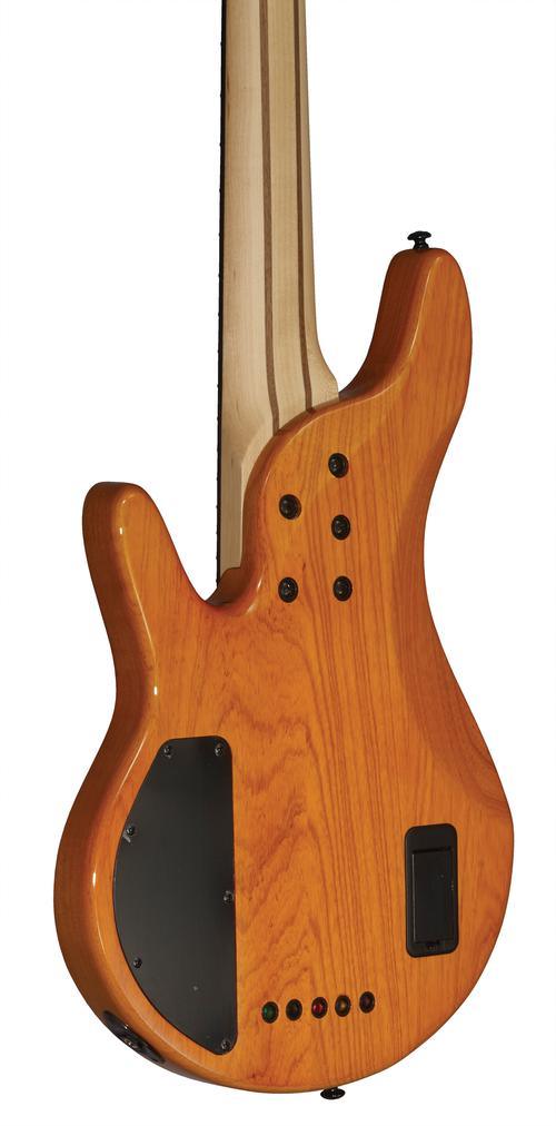 Pinnacle 5-String Bass - Image 4